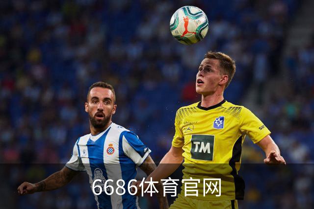 6686体育官网公司简介